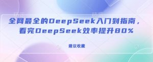 全网最全的DeepSeek入门到指南,看完DeepSeek效率提升80%(建议收藏)-赚金金-技能学习分享