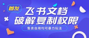 首发飞书文档破解复制权限,售卖自用均可暴力玩法-赚金金-技能学习分享