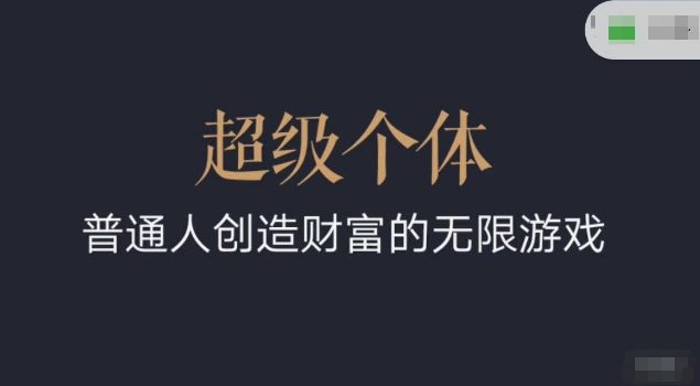 超级个体2024-2025翻盘指南，普通人创造财富的无限游戏-赚金金-技能学习分享