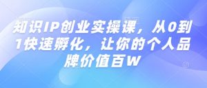 知识IP创业实操课,从0到1快速孵化,让你的个人品牌价值百W-赚金金-技能学习分享