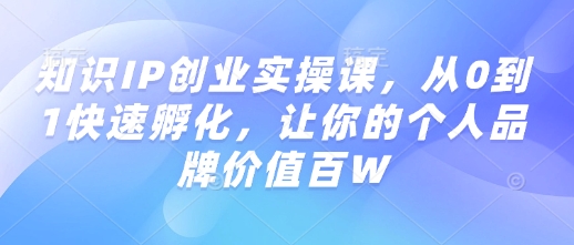 知识IP创业实操课，从0到1快速孵化，让你的个人品牌价值百W-赚金金-技能学习分享