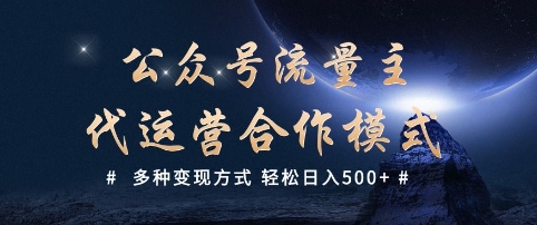 公众号流量主代运营  多种变现方式 轻松日入5张【揭秘】-赚金金-技能学习分享