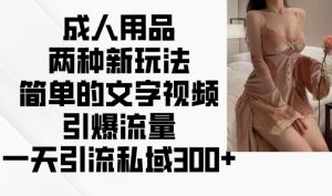 成人用品两种新玩法,简单的文字视频引爆流量,一天引流私域300+-赚金金-技能学习分享