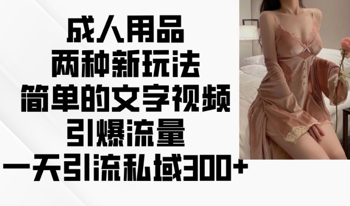 成人用品两种新玩法，简单的文字视频引爆流量，一天引流私域300+-赚金金-技能学习分享