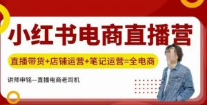 小红书电商直播训练营,直播带货+店铺运营+笔记运营-赚金金-技能学习分享