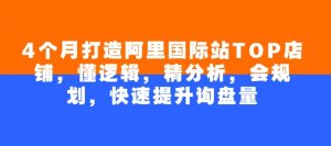 4个月打造阿里国际站TOP店铺,懂逻辑,精分析,会规划,快速提升询盘量-赚金金-技能学习分享