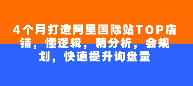 4个月打造阿里国际站TOP店铺，懂逻辑，精分析，会规划，快速提升询盘量-赚金金-技能学习分享