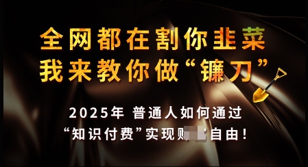 知识付费如何做到月入过W+，2025我来教你做“镰刀”【揭秘】-赚金金-技能学习分享