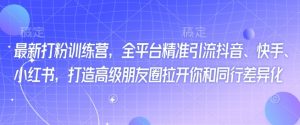 最新打粉训练营,全平台精准引流抖音、快手、小红书,打造高级朋友圈拉开你和同行差异化-赚金金-技能学习分享