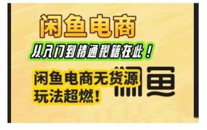 闲鱼电商实战课,从入门到精通秘籍在此,闲鱼电商无货源玩法超燃!-赚金金-技能学习分享