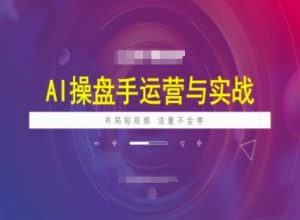 AI操盘手运营实战课程,布局短祝频,流量不会停-赚金金-技能学习分享