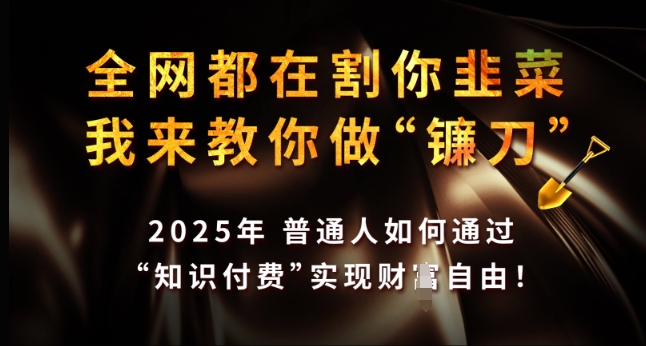 全网都在割你韭菜，我来教你做镰刀，2025年普通人如何通过 知识付费 实现财F自由【揭秘】-赚金金-技能学习分享