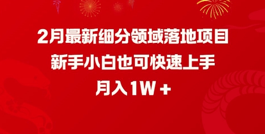 2月最新细分领域落地项目，新手小白也可快速上手，月入1W-赚金金-技能学习分享