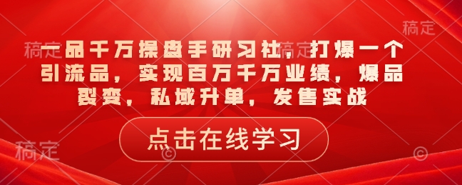 一品千万操盘手研习社，打爆一个引流品，实现百万千万业绩，爆品裂变，私域升单，发售实战-赚金金-技能学习分享