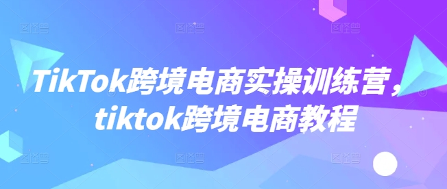 TikTok跨境电商实操训练营，tiktok跨境电商教程-赚金金-技能学习分享