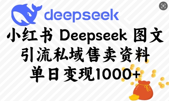 小红书Deepseek图文引流私域售卖资料，单日变现多张-赚金金-技能学习分享