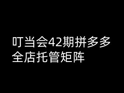 叮当会拼多多打爆班原创高阶技术第42期，拼多多全店托管矩阵-赚金金-技能学习分享