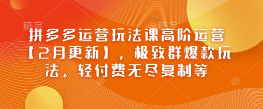 拼多多运营玩法课高阶运营【2月更新】，极致群爆款玩法，轻付费无尽复制等-赚金金-技能学习分享