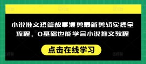 小说推文短篇故事混剪最新剪辑实操全流程,0基础也能学会小说推文教程,肯干多发日入多张-赚金金-技能学习分享
