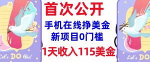 在线挣美金新项目,0门槛,1天收入115美刀,无脑操作,真正被动收入-赚金金-技能学习分享