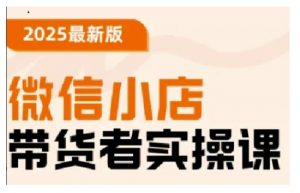 2025最新版微信小店带货者实操课,基础操作到高级运营技巧,快速上手-赚金金-技能学习分享