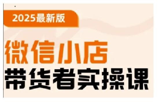 2025最新版微信小店带货者实操课，基础操作到高级运营技巧，快速上手-赚金金-技能学习分享