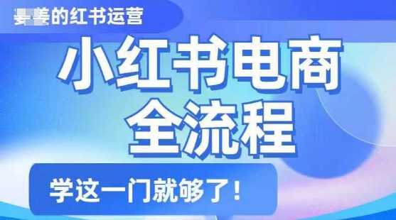 小红书电商全流程，精简易懂，从入门到精通，学这一门就够了-赚金金-技能学习分享