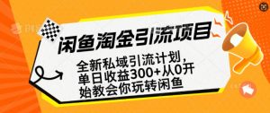 闲鱼淘金私域引流计划,从0开始玩转闲鱼,副业也可以挣到全职的工资-赚金金-技能学习分享