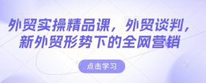 外贸实操精品课,外贸谈判,新外贸形势下的全网营销-赚金金-技能学习分享