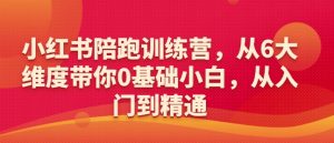 小红书陪跑训练营,从6大维度带你0基础小白,从入门到精通-赚金金-技能学习分享