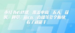小红书必修课,覆盖电商,无人,获客,种草,mcn,直播等多个板块,看了就能干-赚金金-技能学习分享