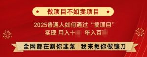 必看,做项目不如卖项目,2025普通人如何通过“卖项目”实现月入十个,年入百个-赚金金-技能学习分享