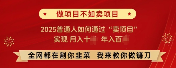 必看,做项目不如卖项目,2025普通人如何通过“卖项目”实现月入十个,年入百个-赚金金-技能学习分享