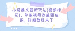 小说推文最新玩法(视频标记),单条视频收益四位数,详细教程来了-赚金金-技能学习分享