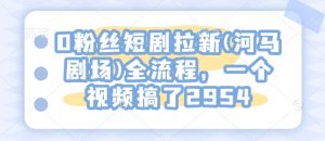 0粉丝短剧拉新(河马剧场)全流程,一个视频搞了2954-赚金金-技能学习分享