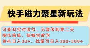 快手磁力新玩法,可查询实时收益,单机30+,批量可日入3到5张【揭秘】-赚金金-技能学习分享