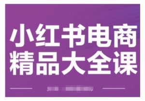 小红书电商精品大全课,快速掌握小红书运营技巧,实现精准引流与爆单目标,轻松玩转小红书电商(更新2月)-赚金金-技能学习分享