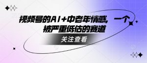 视频号的AI+中老年情感,一个被严重低估的赛道-赚金金-技能学习分享