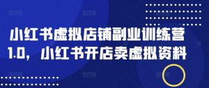小红书虚拟店铺副业训练营1.0,小红书开店卖虚拟资料-赚金金-技能学习分享