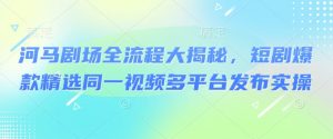 河马剧场全流程大揭秘,短剧爆款精选同一视频多平台发布实操-赚金金-技能学习分享