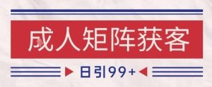 小红书某音橙人赛道引流获客,自热矩阵日引200+【揭秘】-赚金金-技能学习分享