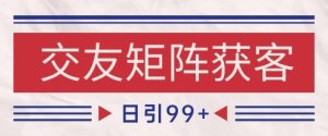 小红书某音交友赛道引流获客 自热矩阵日引200+【揭秘】-赚金金-技能学习分享