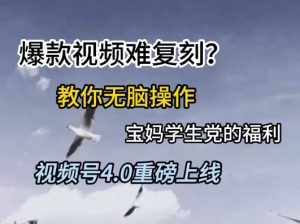 视频号4.0重磅上线,爆款视频难复刻?教你无脑操作宝妈学生党的福利【揭秘】-赚金金-技能学习分享