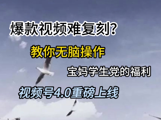 视频号4.0重磅上线，爆款视频难复刻？教你无脑操作宝妈学生党的福利【揭秘】-赚金金-技能学习分享
