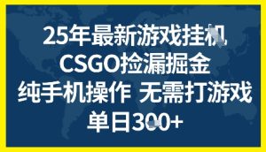 25年CSGO游戏搬砖，全自动挂G，不需要玩游戏，手机操作日入3张+【揭秘】-赚金金-技能学习分享