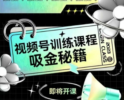 如何做好视频号，视频号训练课程，吸金秘籍-赚金金-技能学习分享