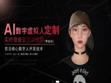 AI数字虚拟人定制，实时语音交互训练营（零基础），前沿核心数字人开发技术-赚金金-技能学习分享