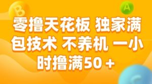 零撸天花板,独家满包技术 不养机 一小时撸满50+【揭秘】-赚金金-技能学习分享
