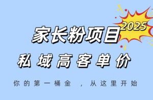 家长粉项目,一个可以长期变现暴利项目,私域高客单价,轻松完成你的人生第一桶金-赚金金-技能学习分享