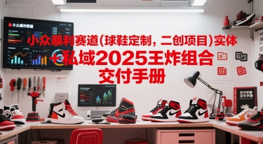 小众暴利赛道(球鞋定制，二创项目)实体+私域2025王炸组合  交付手册-赚金金-技能学习分享
